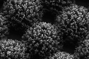 阳江阳江蔡司显微镜